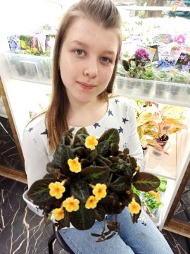 Эписция Sun Gold
